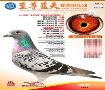 特比三關(guān)鴿王79名