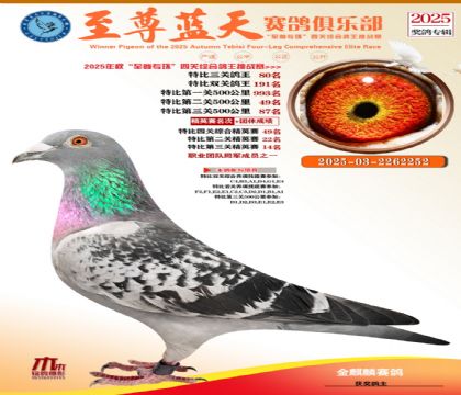 特比三關(guān)鴿王80名