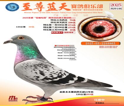 特比三關(guān)鴿王78名