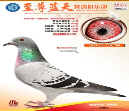 特比三關(guān)鴿王81名
