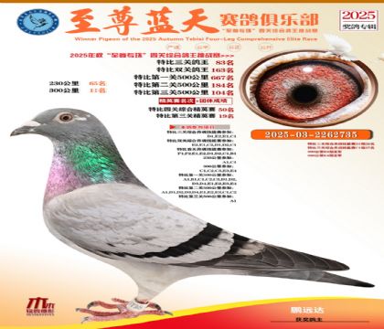 特比三關(guān)鴿王83名