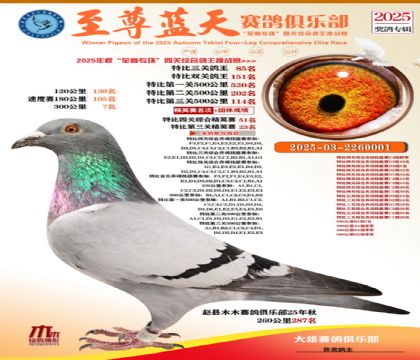 特比三關(guān)鴿王85名