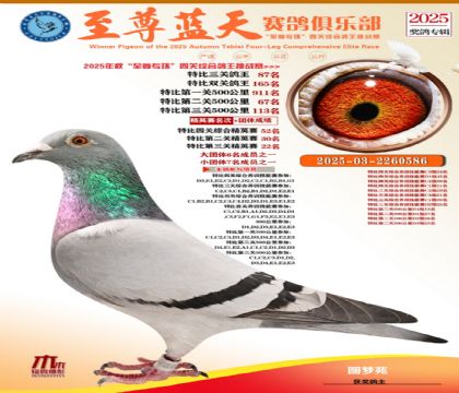 特比三關(guān)鴿王87名