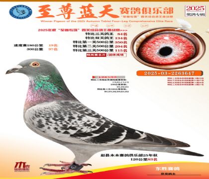 特比三關(guān)鴿王84名