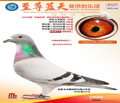 特比三關(guān)鴿王89名