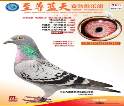 特比三關(guān)鴿王90名