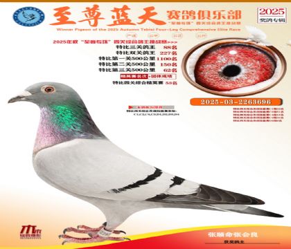 特比三關(guān)鴿王88名