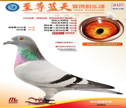 特比三關(guān)鴿王92名