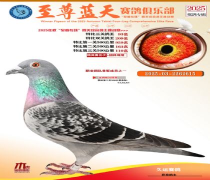 特比三關(guān)鴿王93名