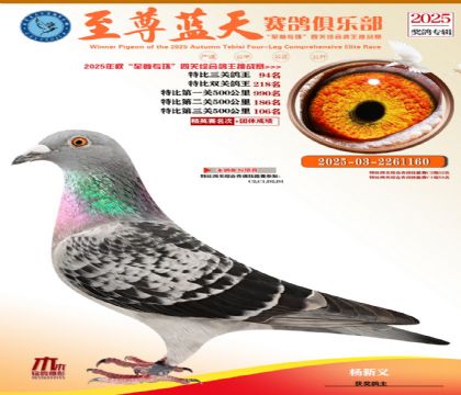 特比三關(guān)鴿王94名