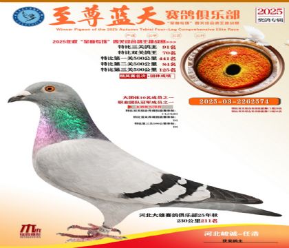 特比三關(guān)鴿王91名