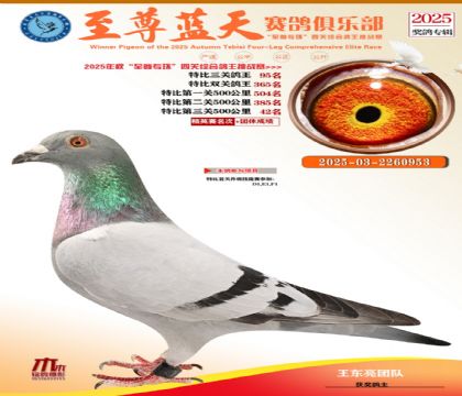 特比三關(guān)鴿王95名