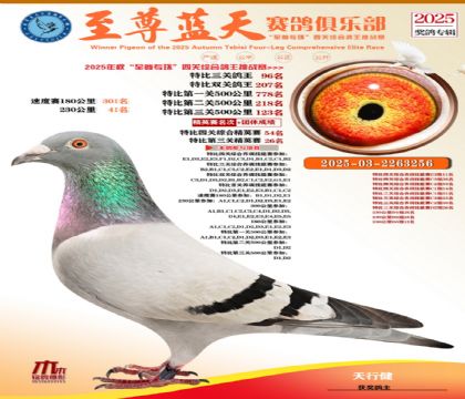 特比三關(guān)鴿王96名
