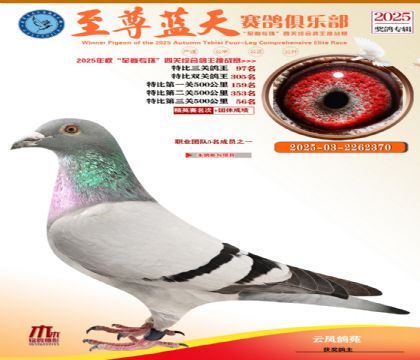 特比三關(guān)鴿王97名
