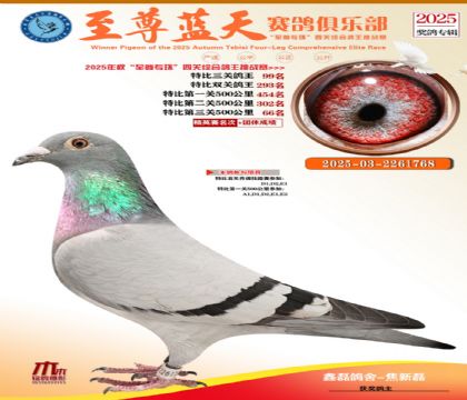 特比三關(guān)鴿王99名