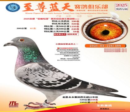 特比三關(guān)鴿王100名