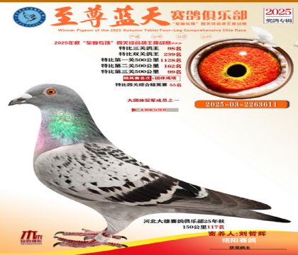 特比三關(guān)鴿王98名