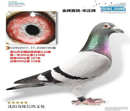 ɽ_A(y)ِ107Qِ538