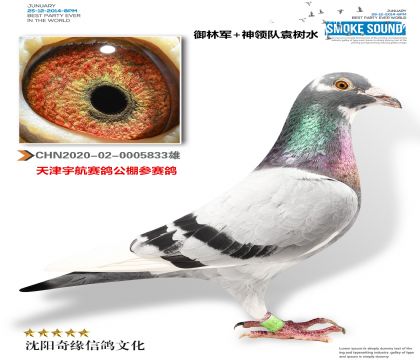 ܊I(lng)(du)ِ