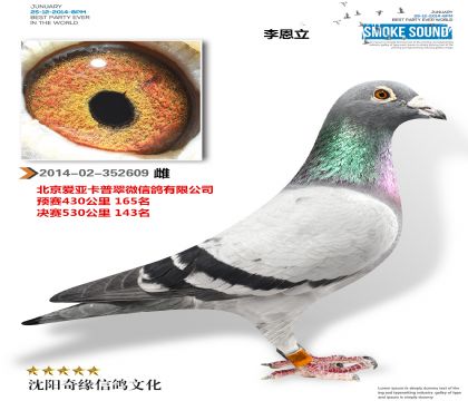 ہգA(y)ِ165Qِ143e