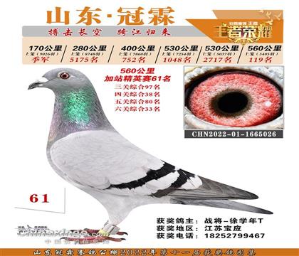 冠霖公棚加站精英賽61名