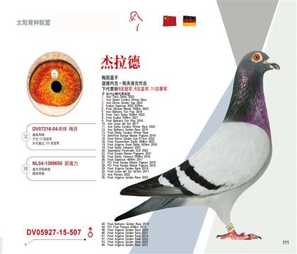 杰拉德“梅西”第一代表直子