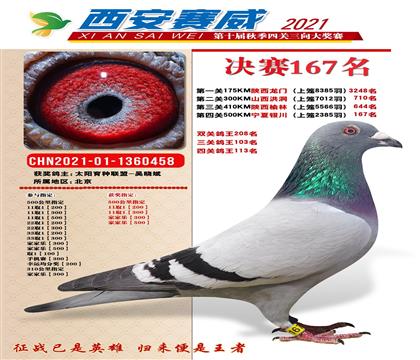 賽威公棚決賽167名