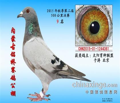 銘橋公棚決賽9名