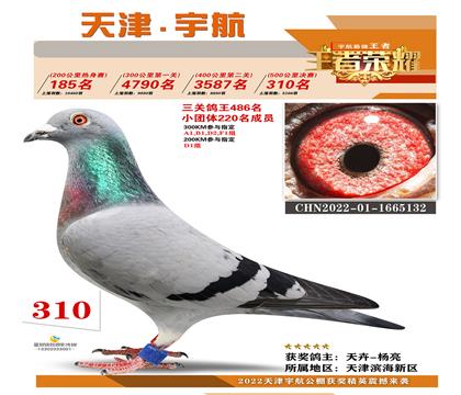 宇航大棚決賽310名