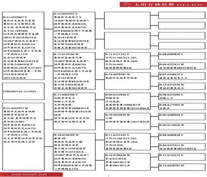 血統(tǒng)書(shū)