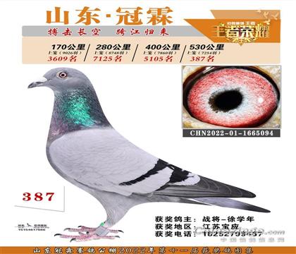 冠霖公棚決賽387名