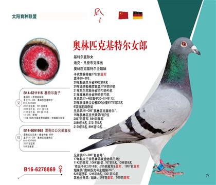 奧林匹克基特爾女郎