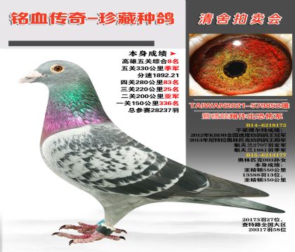 (zhun)I(y)(jng)Wƥ003OѪϵ