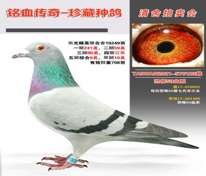 ȫֲ59Ѫϵs@P(gun)C8