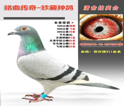 (qing)]r(sh)911Ѫϵɿ(j)500܊