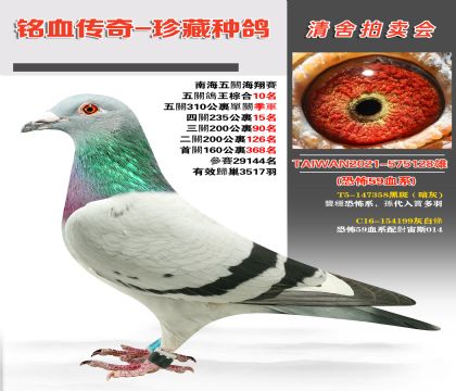 _(ti)ȫֲ59Ѫϵ䌦(du)˹014