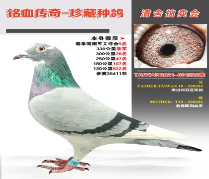 _(ti)wղɭعѪϵs@P(gun)C5