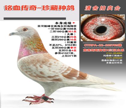 _(ti)w_(d)(jng)ղɭعXtѪϵ