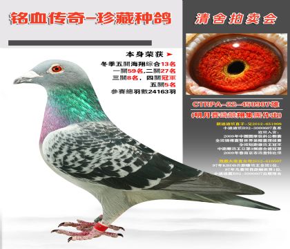 _(ti)¾輯F(tun)P(gun)CϺ13