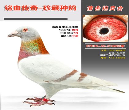 _(ti)(qing)ِtѪϵs@P(gun)C7λ