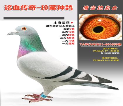 _(ti)wِ(jng)輯F(tun)P(gun)13