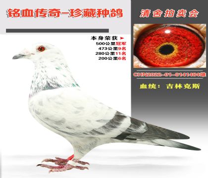 Ѫy(tng)ֿ˹Ѫϵs@500܊