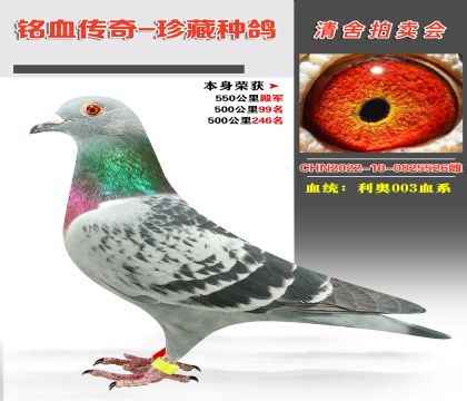 Ѫy(tng)W003Ѫϵs@550܊