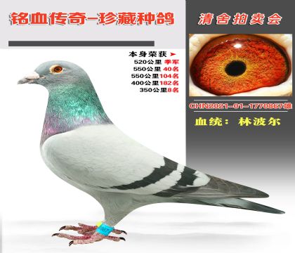 Ѫy(tng)ֲɿ(j)520＾܊