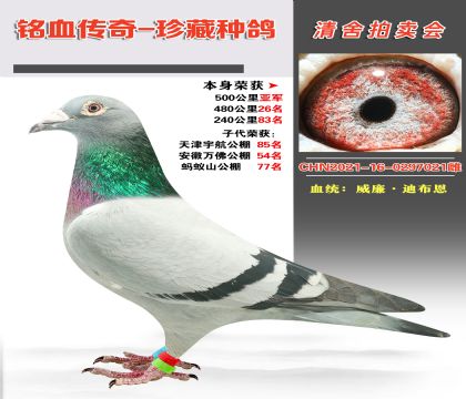 Ѫy(tng)ϲɿ(j)500܊