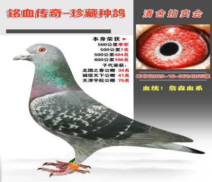 Ѫy(tng)ղɭѪϵs@500＾܊