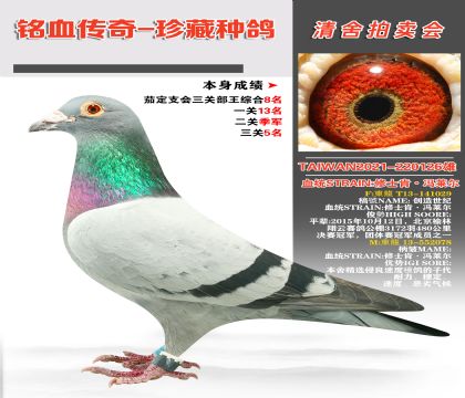 Ѫy(tng)STRAINʿϡTRs@P(gun)5