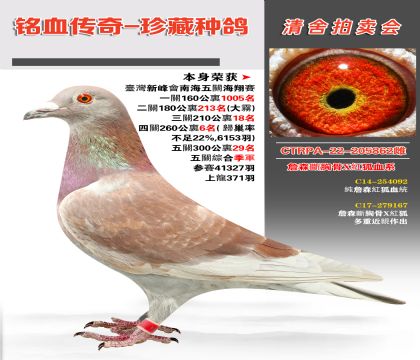 ղɭعxtѪϵs@vCϼ܊