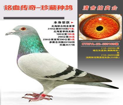 ֱO(عǌO)\ֿ˹ƯҌO(019O)