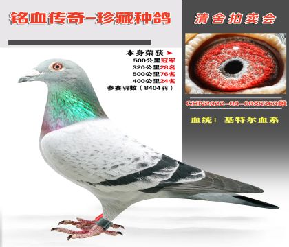 Ѫy(tng)ؠѪϵs@500܊